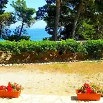 Beachfront Kate أوروبيتش
