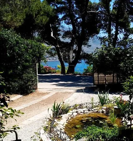 Apartament Beachfront Kate