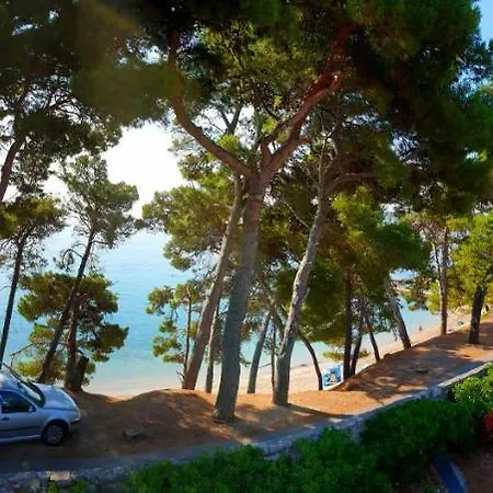 Beachfront Kate Orebić