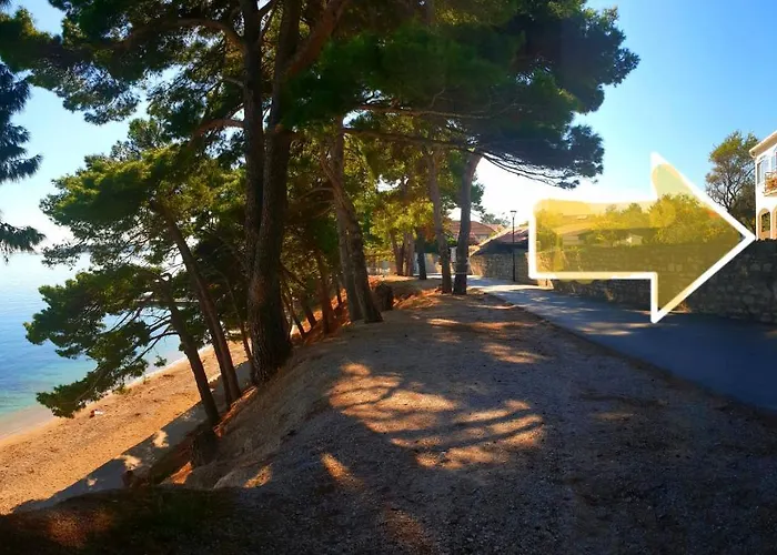 Beachfront Kate Orebić