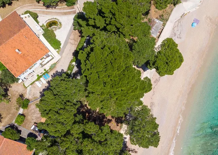 Beachfront Kate Orebić