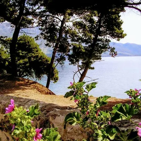 Beachfront Kate * Orebic