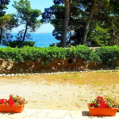 Beachfront Kate Orebic